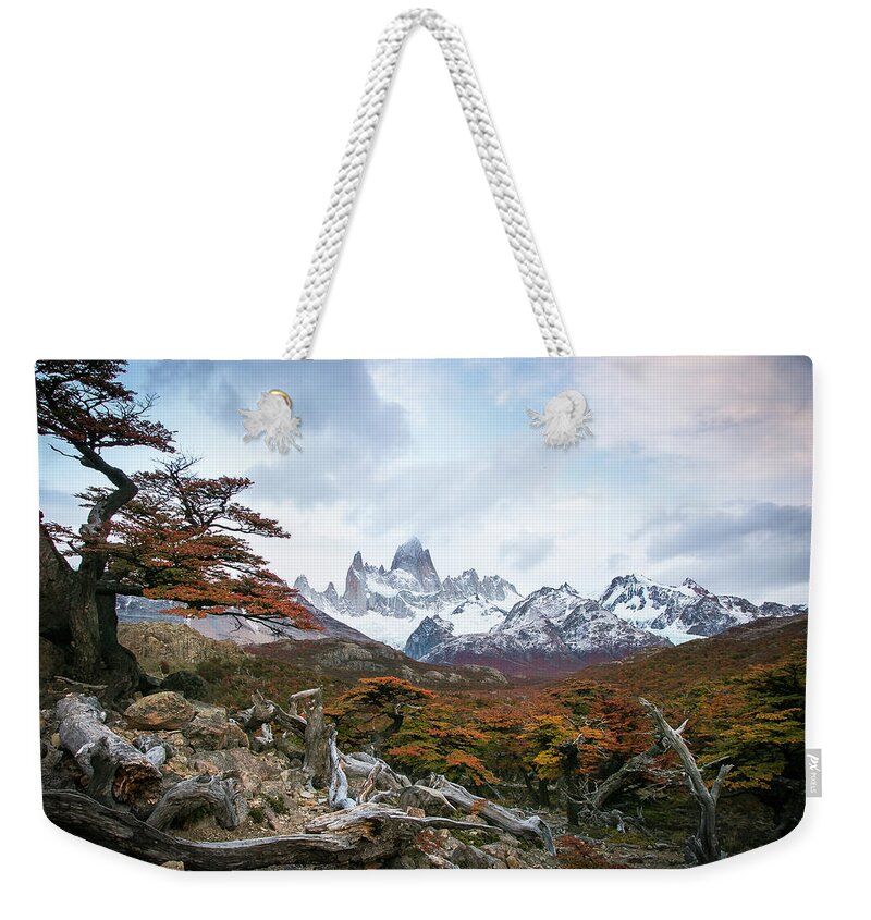 Patagonia Weekender Tote Bag featuring the photograph Fitz by Ryan Weddle