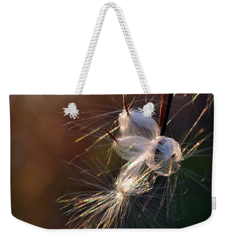 Milkweed Weekender Tote Bag featuring the photograph Flight by Michelle Wermuth