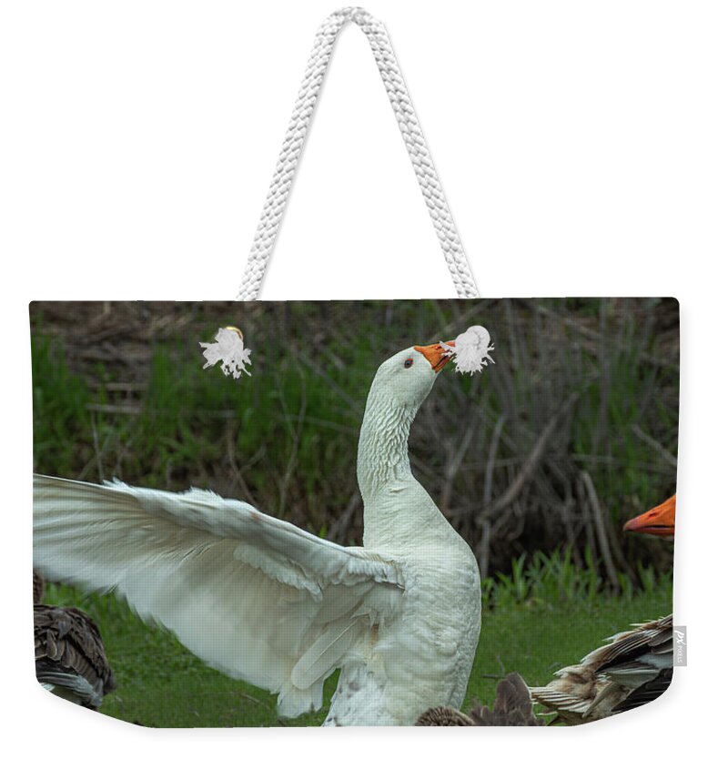 Goose Weekender Tote Bag featuring the photograph Flip Flap by Phil S Addis