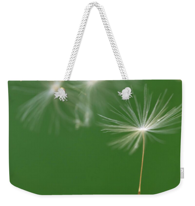 Dandelion Weekender Tote Bag featuring the photograph Floating Dandelion Seed by Laura Smith