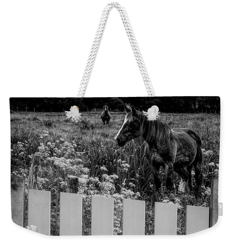 Barn Weekender Tote Bag featuring the photograph Floral Farmland in Black and White by Debra and Dave Vanderlaan
