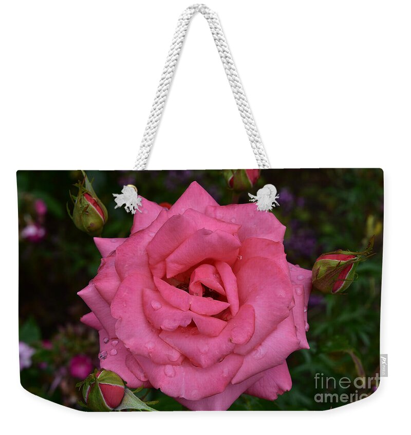 Rose Weekender Tote Bag featuring the photograph Floribunda Rose - Double Pink by Yvonne Johnstone