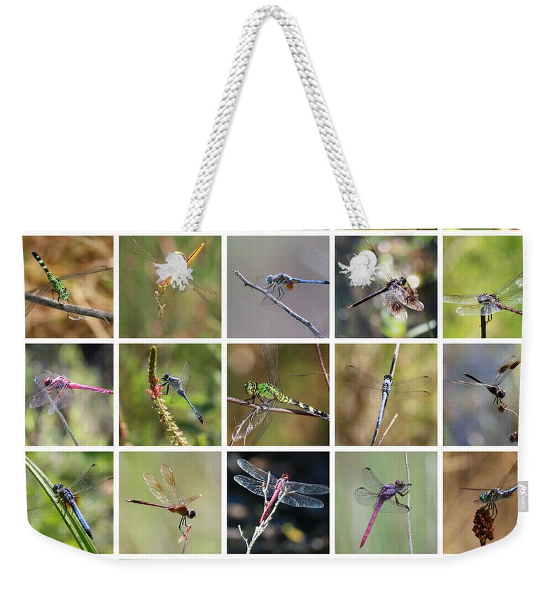 Dragonflies Weekender Tote Bag featuring the photograph Florida Dragonflies Collage by Carol Groenen