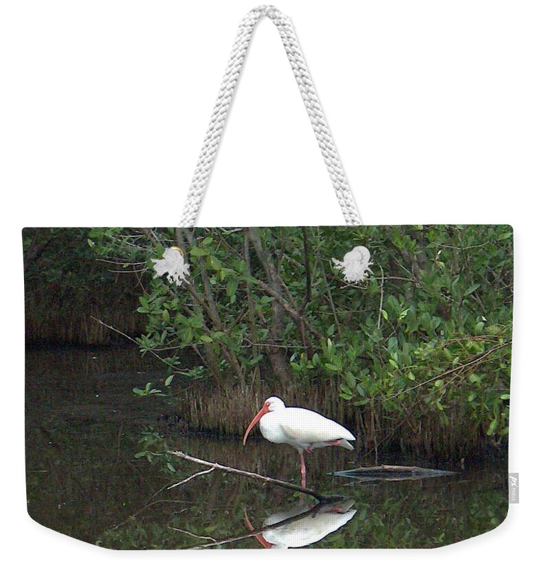 Bird Weekender Tote Bag featuring the photograph One Legged Reflected Pose by Leslie Struxness