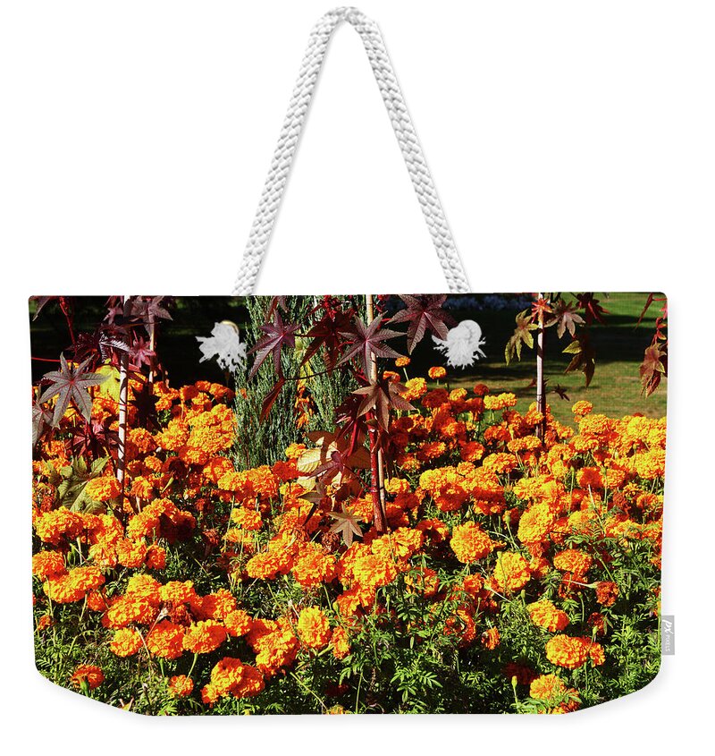 London Weekender Tote Bag featuring the photograph Flower Garden at Greenwich Park, London by Aidan Moran