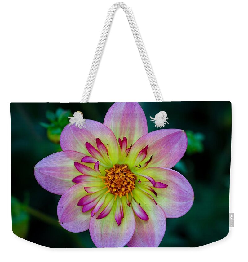 Flower Weekender Tote Bag featuring the photograph Flower 3 by Anamar Pictures