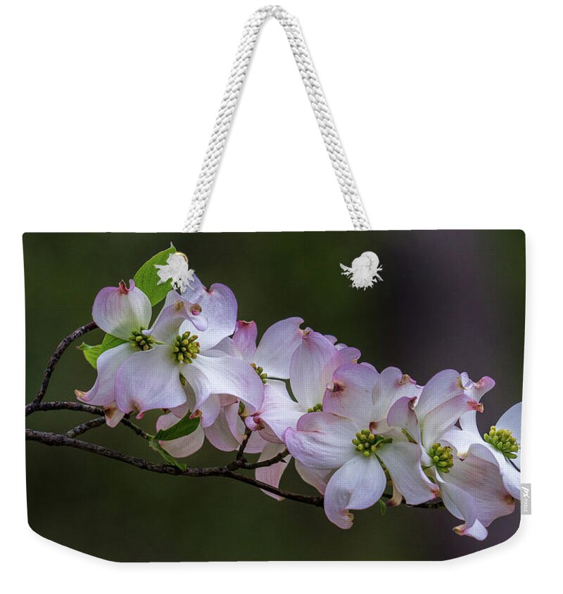 Dogwood Weekender Tote Bag featuring the photograph Flowering Dogwood by Jerry Gammon
