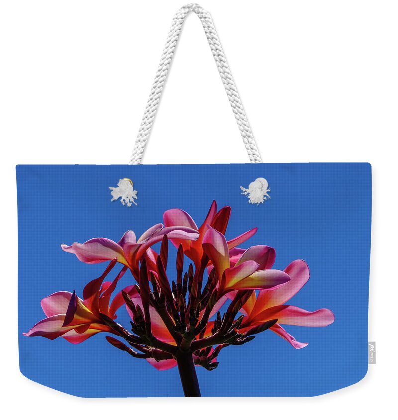 Hawaii Weekender Tote Bag featuring the photograph Flowers in Clear Blue Sky by John Bauer