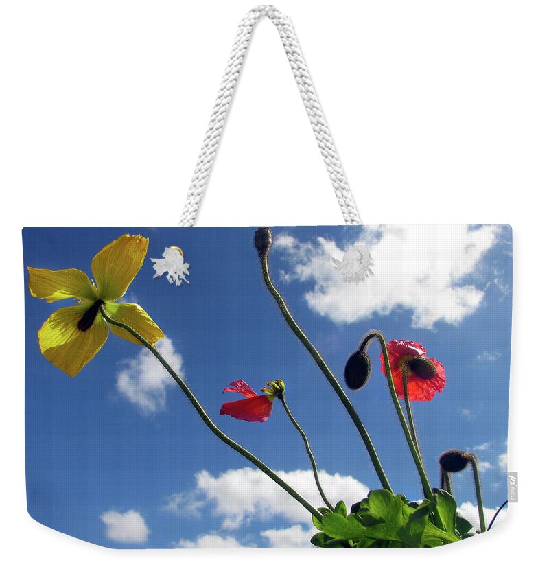 Bright Weekender Tote Bag featuring the photograph Flowers in the Sky by Jaeda DeWalt
