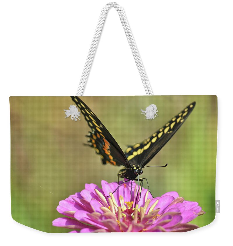 Banks Weekender Tote Bag featuring the photograph Flowers That Fly by Jamart Photography