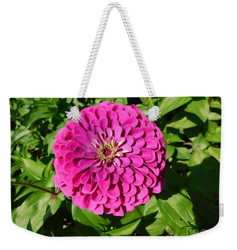 Fluffy Purple Weekender Tote Bag featuring the photograph Fluffy Purple by Barbra Telfer