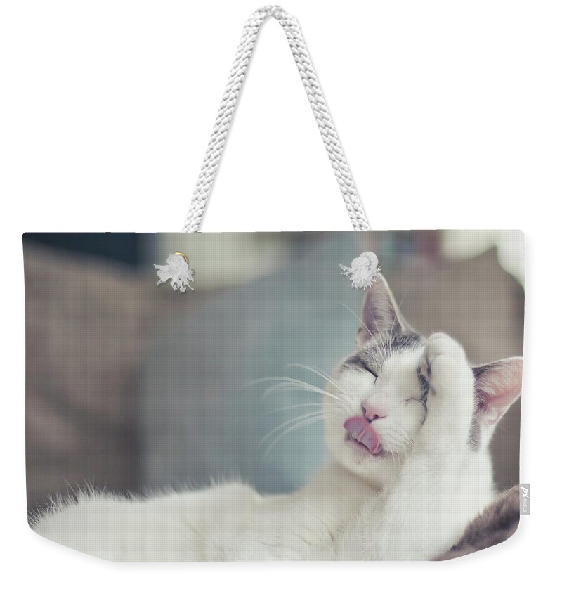 Pets Weekender Tote Bag featuring the photograph Fluffy White And Grey Cat Cleaning by Cindy Prins