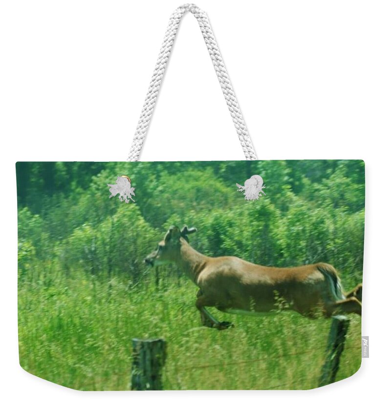  Weekender Tote Bag featuring the photograph Flying Leap by Lindsey Floyd