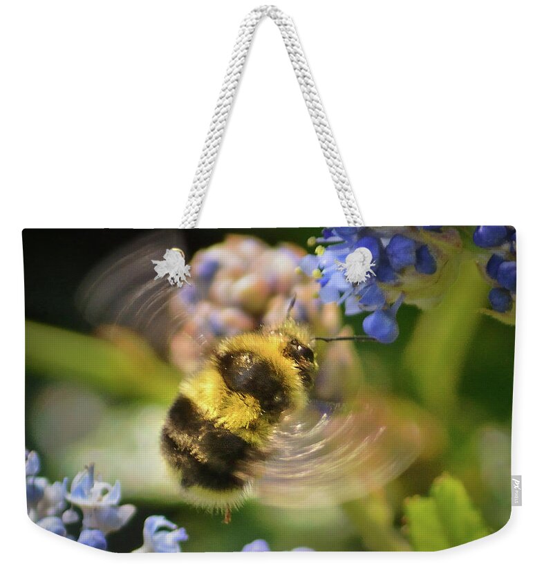 Bumblebee Weekender Tote Bag featuring the photograph Flying Miracle by Brian Tada