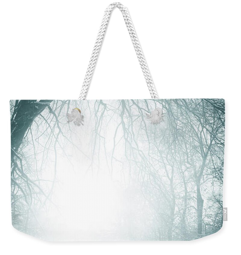 Shadow Weekender Tote Bag featuring the photograph Foggy Old Trees Near The Road In Winter by Kamisoka
