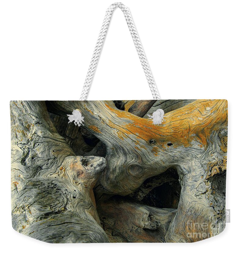 Abstracts Weekender Tote Bag featuring the photograph For Having Crossed the Tides by Marilyn Cornwell