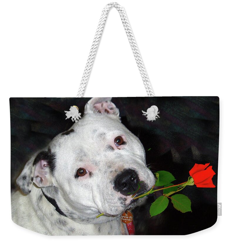 Staffie Weekender Tote Bag featuring the photograph For the Love of Staffies by Elaine Teague