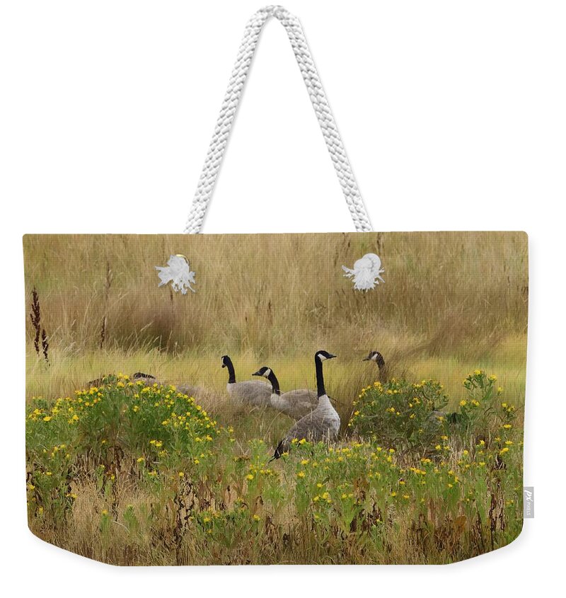 Canada Geese Weekender Tote Bag featuring the digital art Foraging Among The Gumweeds by I'ina Van Lawick
