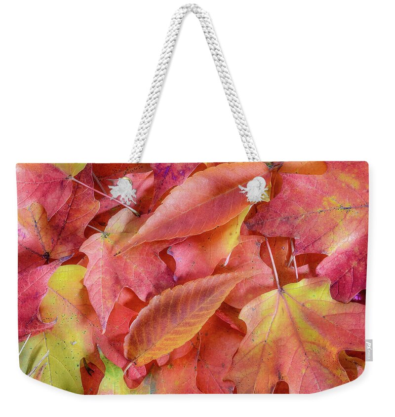 Fall Leaves Weekender Tote Bag featuring the photograph Forest Floor 2 by Michael Hubley