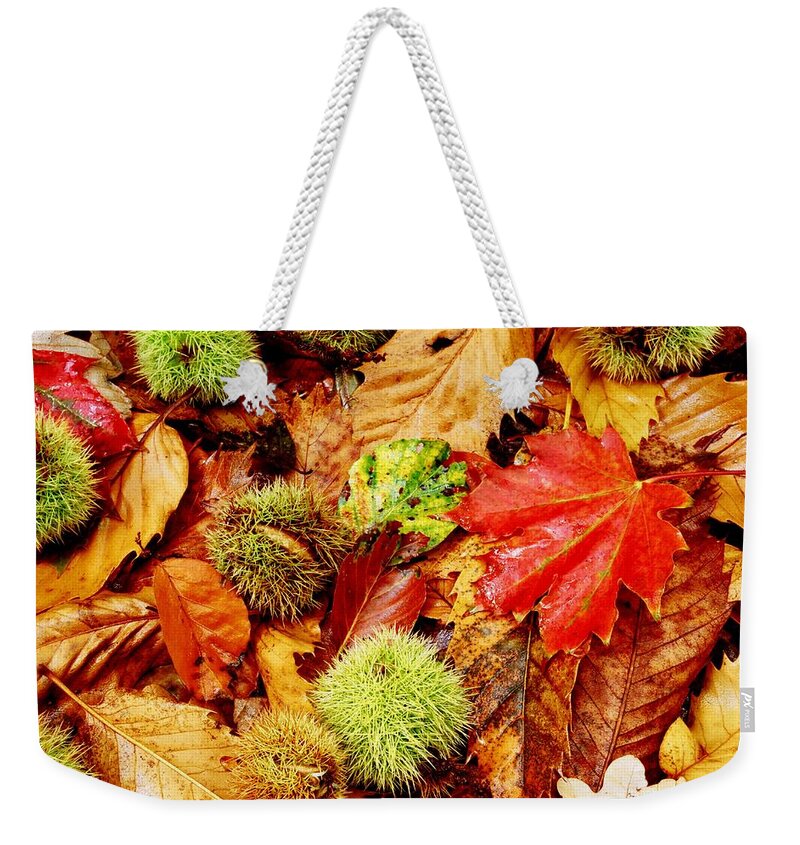 Tranquility Weekender Tote Bag featuring the photograph Forest Floor by Andrew Turner