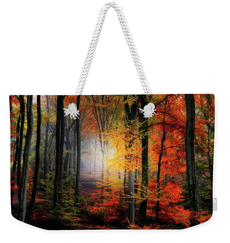 Forest Weekender Tote Bag featuring the photograph Forest Light by Philippe Sainte-Laudy