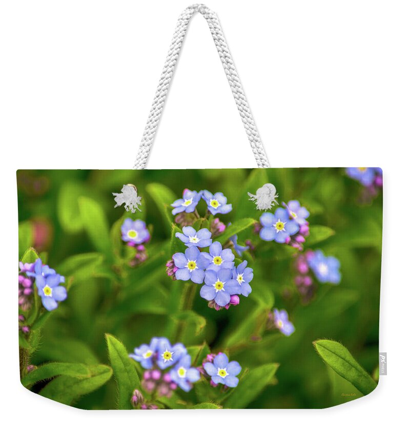 Flowers Weekender Tote Bag featuring the photograph Forget Me Nots by Christina Rollo