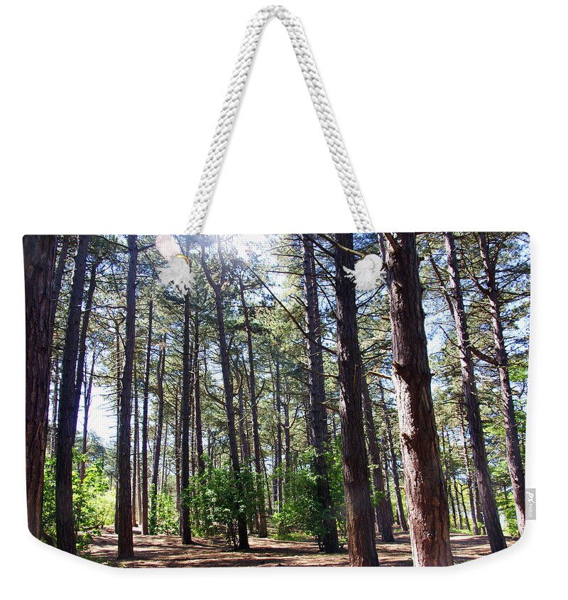 Formby Weekender Tote Bag featuring the photograph  FORMBY. Woodland By The Coast by Lachlan Main