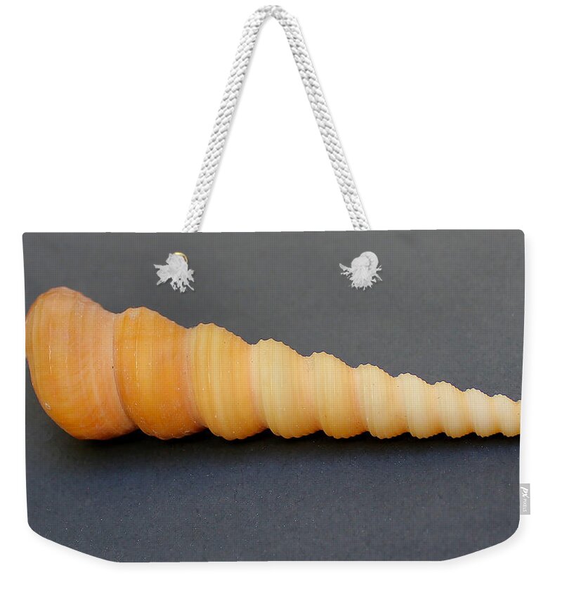 Shell Weekender Tote Bag featuring the photograph Found by Lin Grosvenor