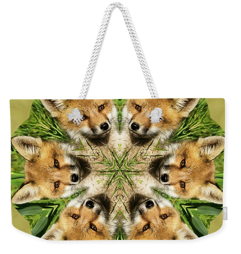 Kaleidoscope Weekender Tote Bag featuring the photograph Fox by Minnie Gallman