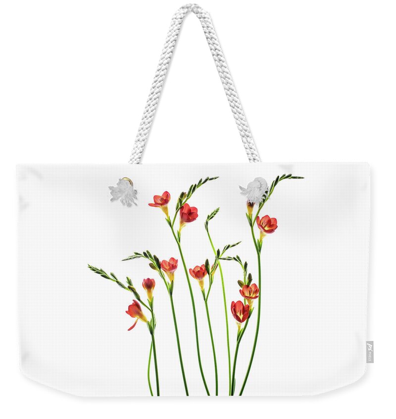 Flowers Weekender Tote Bag featuring the photograph Freesia 3 by Rebecca Cozart
