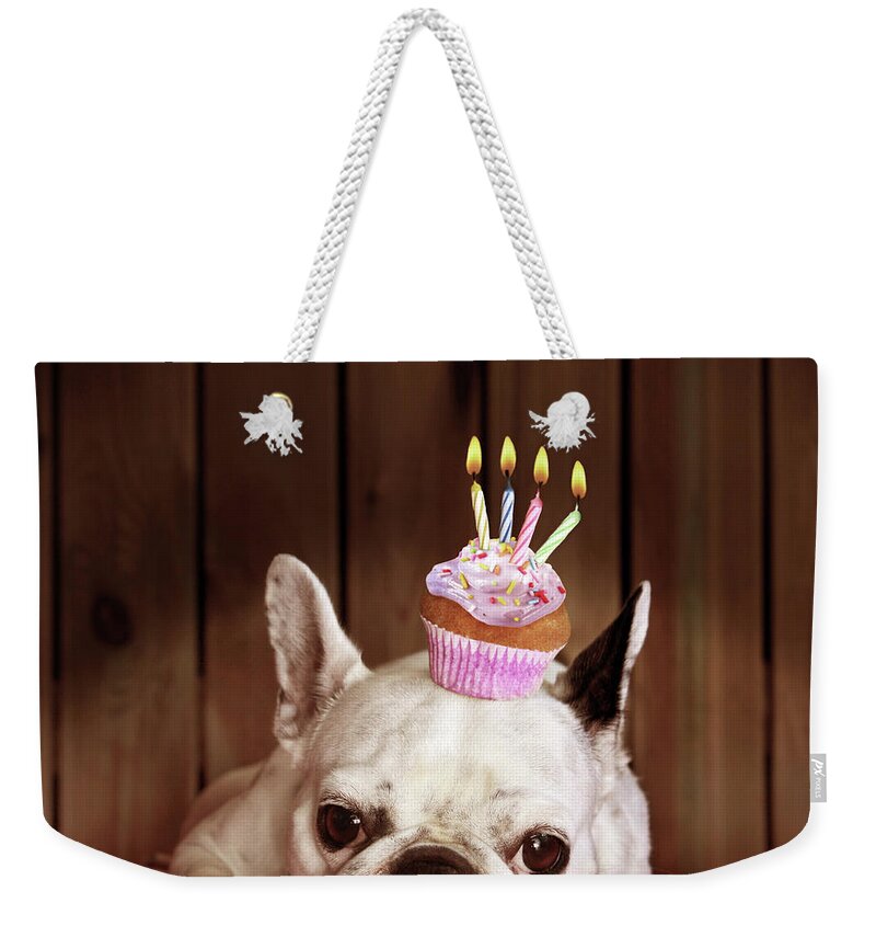 Pets Weekender Tote Bag featuring the photograph French Bulldog With Birthday Cupcake by Retales Botijero