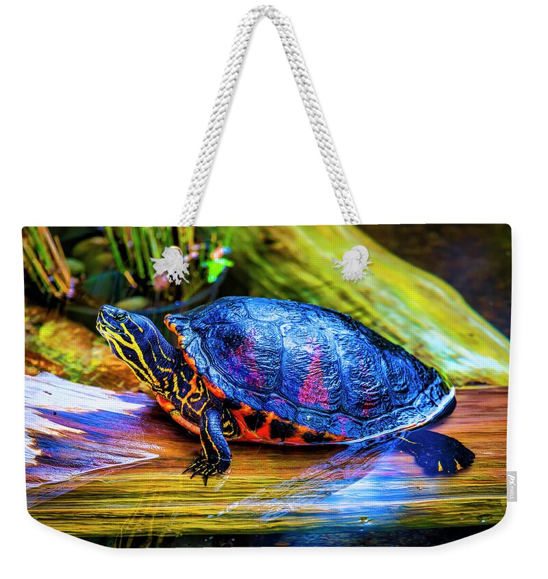 Freshwater Weekender Tote Bag featuring the photograph Freshwater Aquatic Turtle by Garry Gay