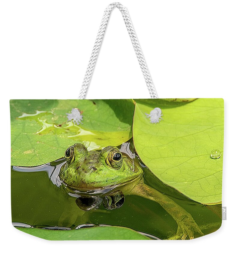 Frog Weekender Tote Bag featuring the photograph Frog by Minnie Gallman