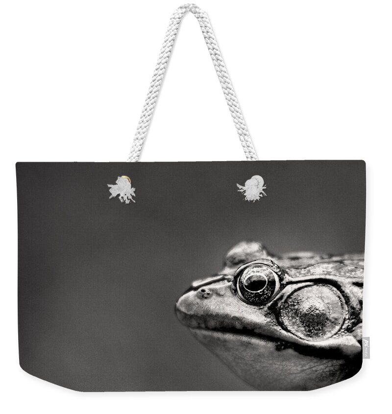 Alertness Weekender Tote Bag featuring the photograph Frog Portrait by Cappi Thompson