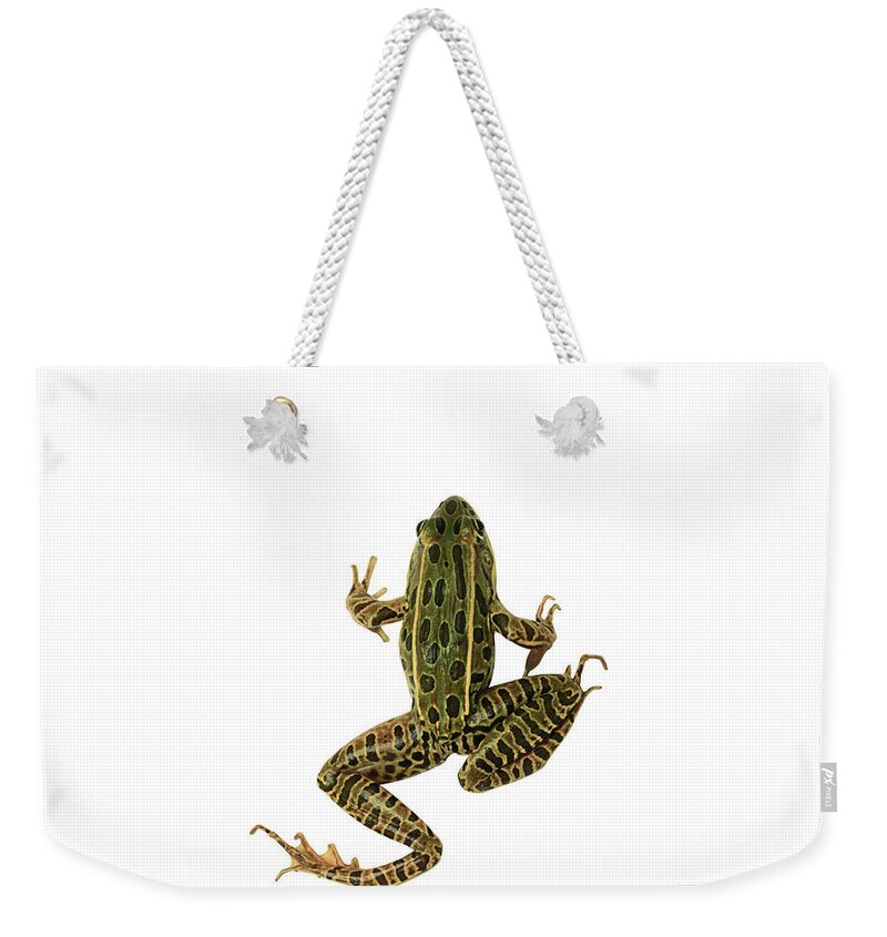 White Background Weekender Tote Bag featuring the photograph Frog by Siede Preis