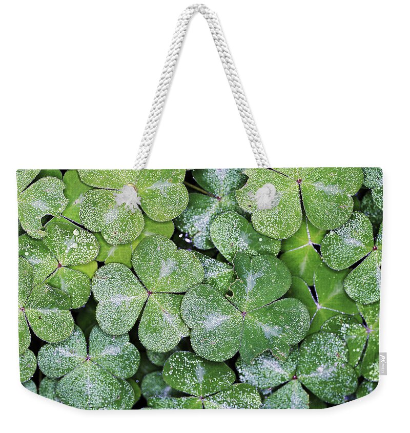 Close-up Weekender Tote Bag featuring the photograph Frost On Clovers, Overhead View by Ryan Mcvay