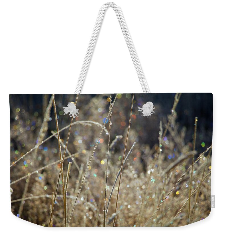 Frost Weekender Tote Bag featuring the photograph Frosty Meadow Grass 2 by Randy Robbins