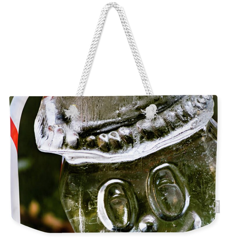 University Circle Weekender Tote Bag featuring the photograph Frosty by Stewart Helberg