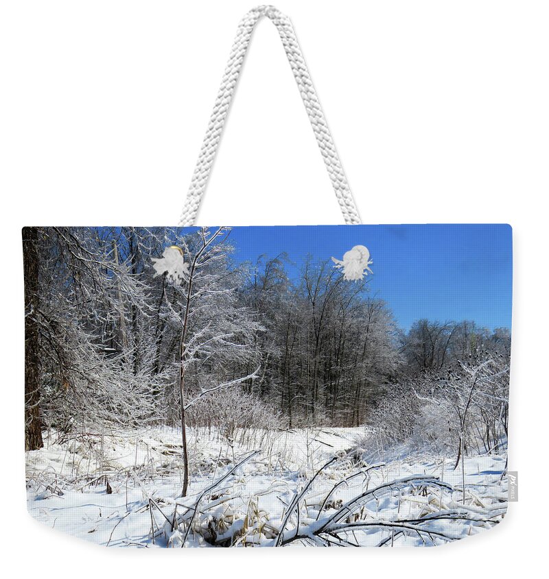 https://render.fineartamerica.com/images/rendered/default/flat/weekender-tote-bag/images/artworkimages/medium/2/frozen-spectacle-of-trees-covered-of-ice-after-a-freezing-rain-storm-celine-bisson.jpg?&targetx=-2&targety=0&imagewidth=779&imageheight=583&modelwidth=779&modelheight=506&backgroundcolor=EBF0F3&orientation=0&producttype=totebagweekender-24-16-white