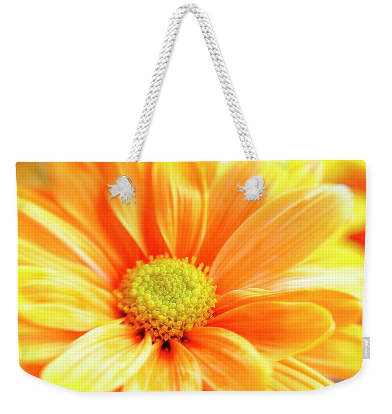 Orange Color Weekender Tote Bag featuring the photograph Full Frame Orange Daisy Macro Selective by Jpecha