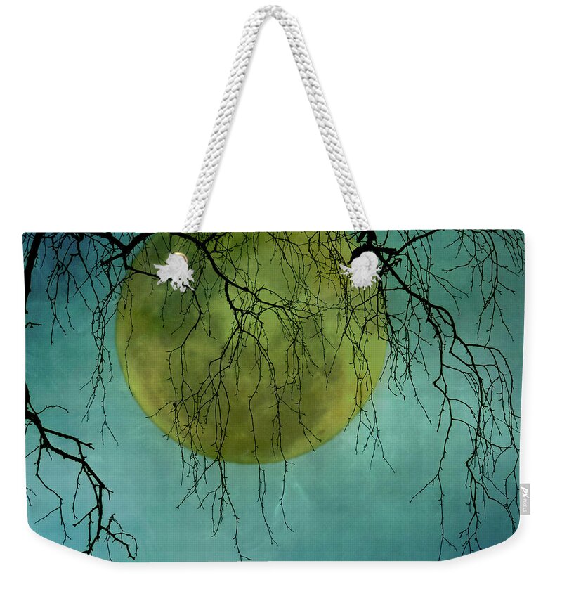 Outdoors Weekender Tote Bag featuring the photograph Full Moon by Jill Ferry