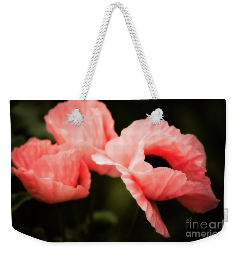 Beauty In Nature Weekender Tote Bag featuring the photograph Full of Life by Venetta Archer