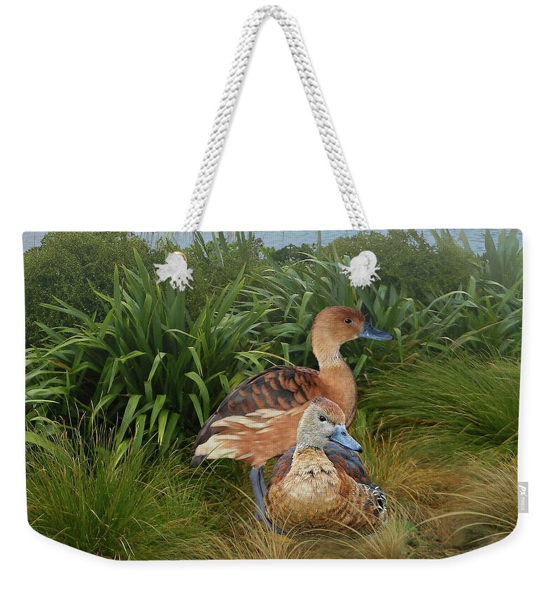 Duck Weekender Tote Bag featuring the digital art Fulvous Whistling Ducks by M Spadecaller