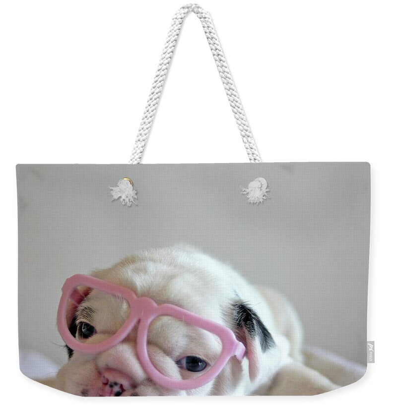 Pets Weekender Tote Bag featuring the photograph Funny French Bulldog by Retales Botijero