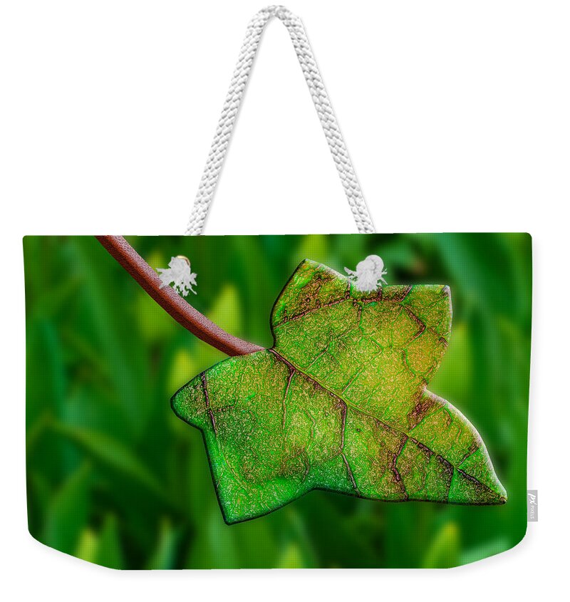 Photography Weekender Tote Bag featuring the photograph Fused With Nature by Paul Wear