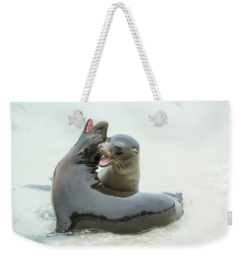Animal Weekender Tote Bag featuring the photograph Galapagos Sea Lions Pups Play Fighting by Tui De Roy