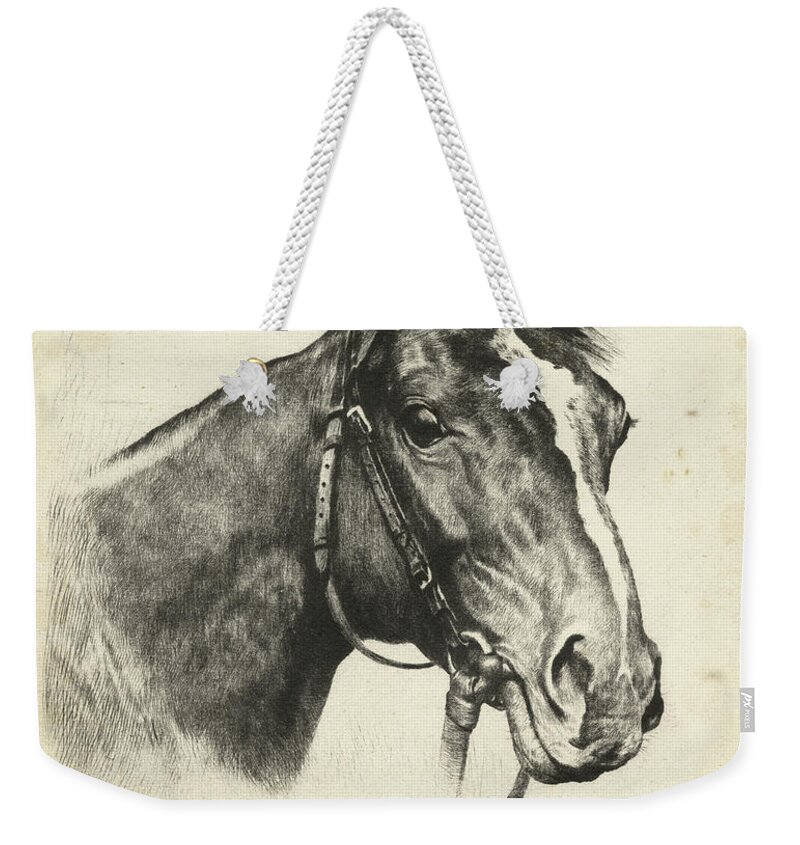 Animals Weekender Tote Bag featuring the painting Gallant Fox by R.h. Palenske