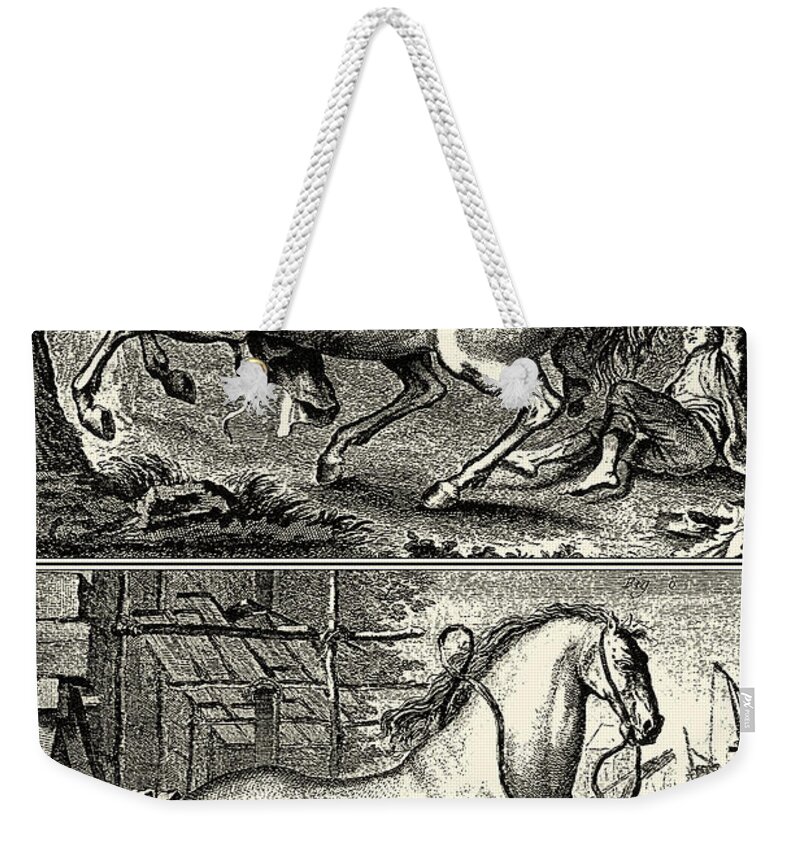 B&w Weekender Tote Bag featuring the painting Galloping Horses I by Unknown