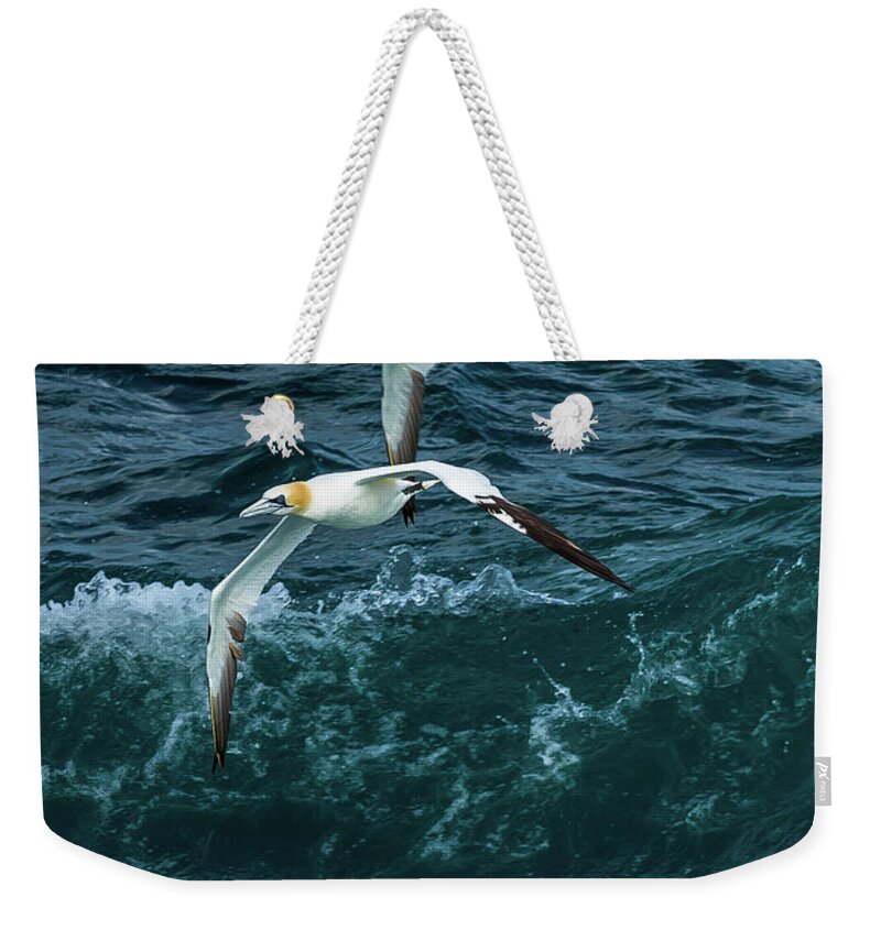 Scotland Weekender Tote Bag featuring the photograph Gannets Over Wild Atlantic by Andreas Berthold