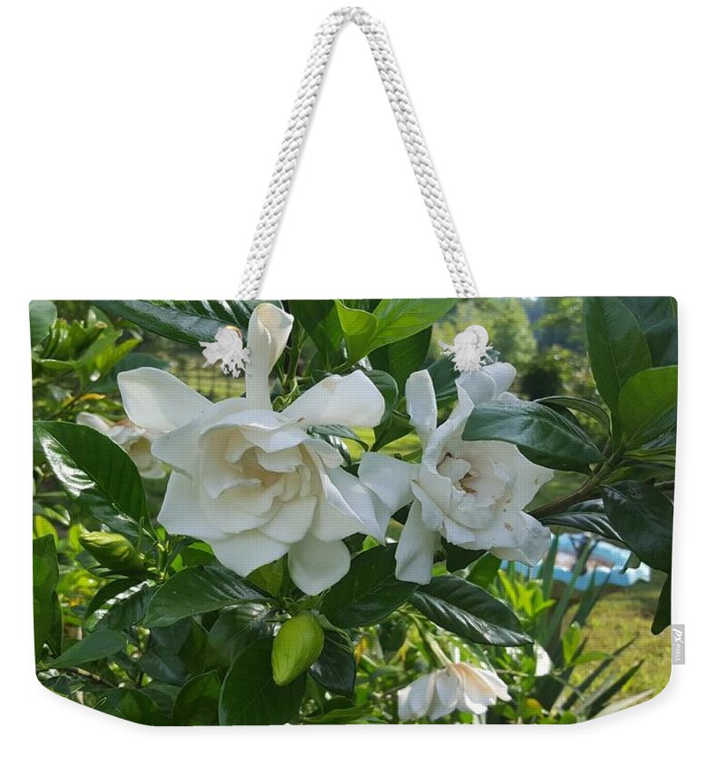 Gardenia Closeup Weekender Tote Bag featuring the digital art Gardenia Country Peek by Pamela Smale Williams